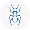 Ant Removals In Porthmadog