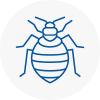 Bed Bug Extermination In Porthmadog