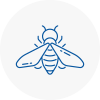 Bee Nest Removal Porthmadog