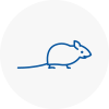 Mice Exterminators In Porthmadog